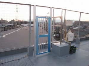 IMG_4484