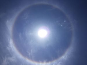 IMG_0461
