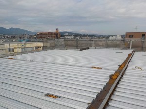 DSCN3863