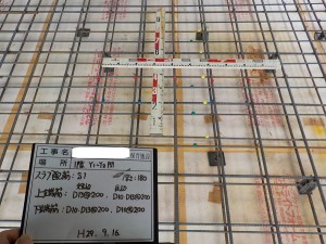 DSCN4036