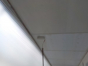 DSCN8386