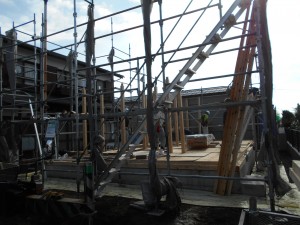 DSCN1524