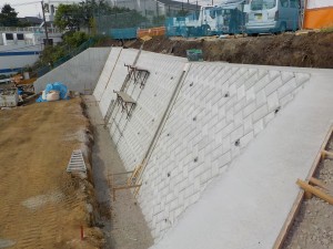 DSCN4807