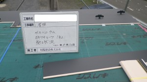 RIMG8913