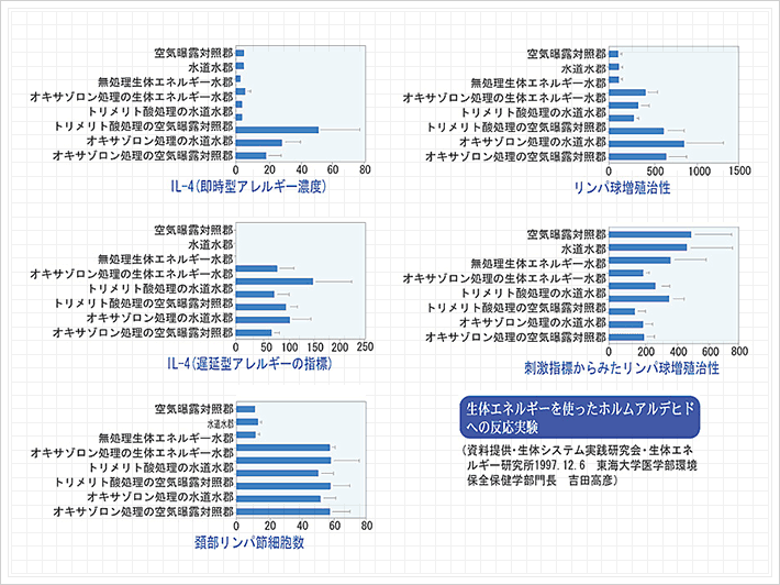 画像03