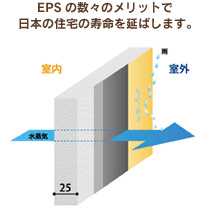 EPS画像